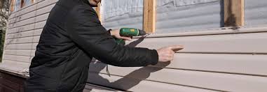 Best Siding Painting and Refinishing  in Coalfield, TN